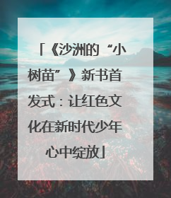 《沙洲的“小树苗”》新书首发式：让红色文化在新时代少年心中绽放