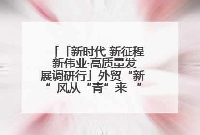 「新时代 新征程 新伟业·高质量发展调研行」外贸“新”风从“青”来 “双向奔赴”启新程