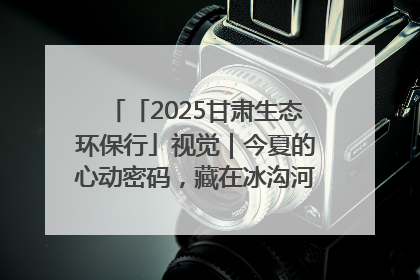「2025甘肃生态环保行」视觉｜今夏的心动密码，藏在冰沟河的潋滟波光里