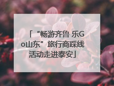 “畅游齐鲁 乐Go山东”旅行商踩线活动走进泰安