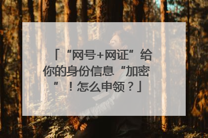 “网号+网证”给你的身份信息“加密”！怎么申领？