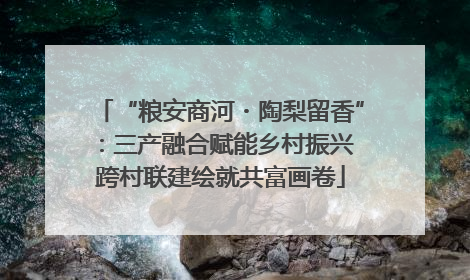 “粮安商河・陶梨留香”：三产融合赋能乡村振兴 跨村联建绘就共富画卷
