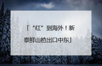 “红”到海外！新泰鲜山楂出口中东