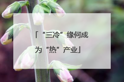 “三冷”缘何成为“热”产业