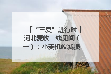 “三夏”进行时｜河北麦收一线见闻（一）：小麦机收减损“竞技” 农机高手麦田“过招”