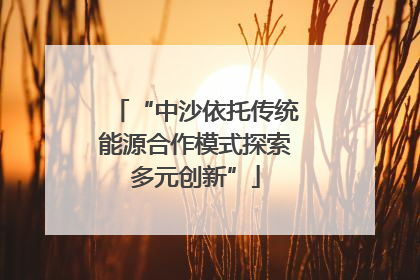 “中沙依托传统能源合作模式探索多元创新”