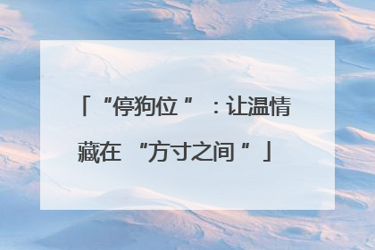 “停狗位 ”：让温情藏在 “方寸之间 ”