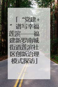 “党建+”谱写幸福莲滨——福建新罗南城街道莲滨社区创新治理模式探访