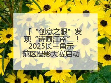 “创意之眼”发现“诗画江南”！2025长三角示范区摄影大赛启动，喊你来“拍”