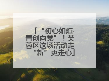 “初心如炬·青创向党”！芙蓉区这场活动走“新”更走心