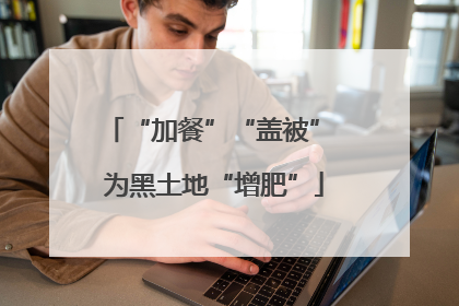 “加餐”“盖被” 为黑土地“增肥”