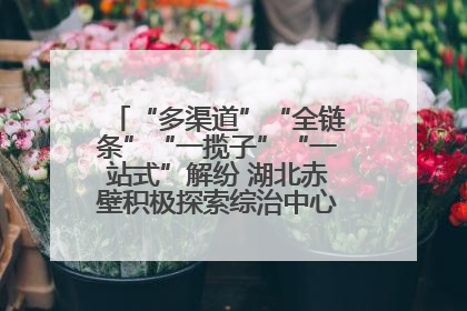 “多渠道”“全链条”“一揽子”“一站式”解纷 湖北赤壁积极探索综治中心规范化建设新路子