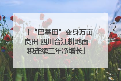 “巴掌田”变身万亩良田 四川合江耕地面积连续三年净增长