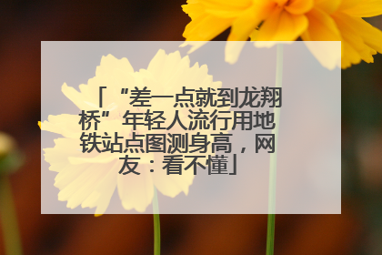 “差一点就到龙翔桥”年轻人流行用地铁站点图测身高，网友：看不懂