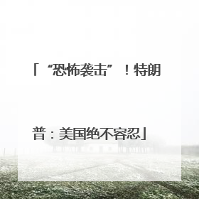 “恐怖袭击”！特朗普：美国绝不容忍