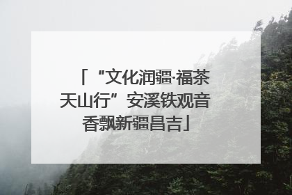 “文化润疆·福茶天山行”安溪铁观音香飘新疆昌吉