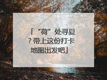 “荷”处寻夏？带上这份打卡地图出发吧