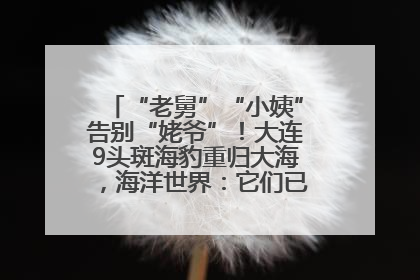 “老舅”“小姨”告别“姥爷”！大连9头斑海豹重归大海，海洋世界：它们已具备野外生存能力