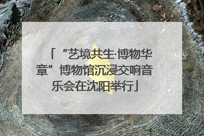 “艺境共生·博物华章”博物馆沉浸交响音乐会在沈阳举行