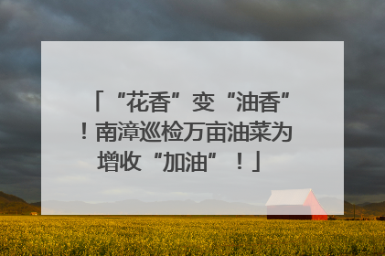 “花香”变“油香”！南漳巡检万亩油菜为增收“加油”！
