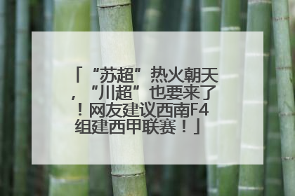 “苏超”热火朝天，“川超”也要来了！网友建议西南F4组建西甲联赛！