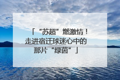 “苏超”燃激情！走进宿迁球迷心中的那片“绿茵”