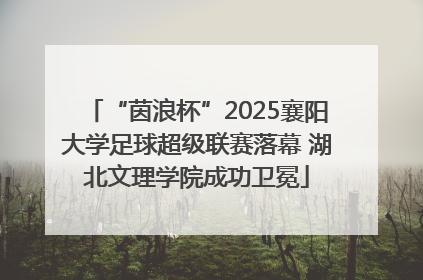 “茵浪杯”2025襄阳大学足球超级联赛落幕 湖北文理学院成功卫冕
