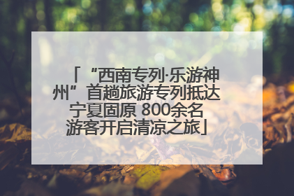 “西南专列·乐游神州”首趟旅游专列抵达宁夏固原 800余名游客开启清凉之旅