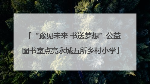 “豫见未来 书送梦想”公益图书室点亮永城五所乡村小学