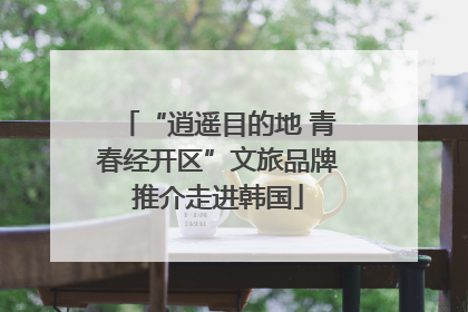 “逍遥目的地 青春经开区”文旅品牌推介走进韩国