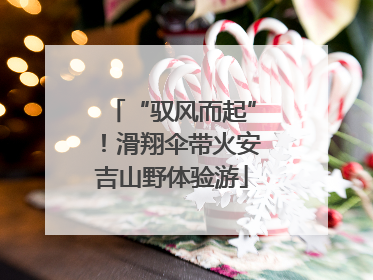 “驭风而起”！滑翔伞带火安吉山野体验游