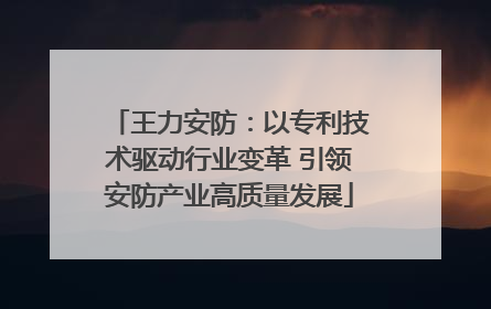 王力安防：以专利技术驱动行业变革 引领安防产业高质量发展