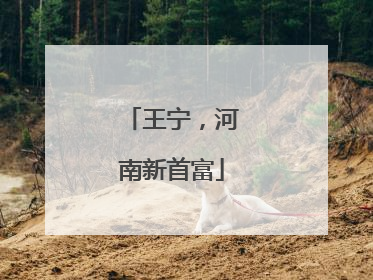 王宁，河南新首富