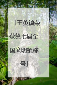 王英镇荣获第七届全国文明镇称号