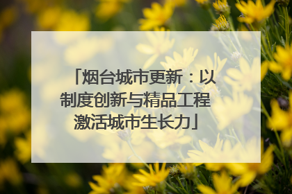 烟台城市更新：以制度创新与精品工程激活城市生长力
