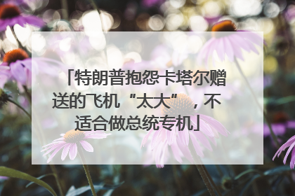 特朗普抱怨卡塔尔赠送的飞机“太大”，不适合做总统专机