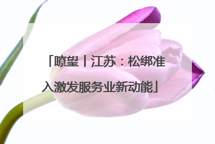 瞭望丨江苏：松绑准入激发服务业新动能