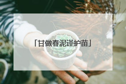 甘做春泥谨护苗