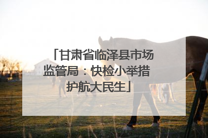 甘肃省临泽县市场监管局：快检小举措 护航大民生