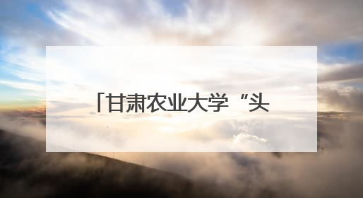 甘肃农业大学“头雁”项目现代畜牧业高质量发展培训班走进榆林榆阳区