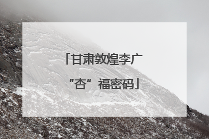 甘肃敦煌李广“杏”福密码