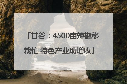 甘谷：4500亩辣椒移栽忙 特色产业助增收