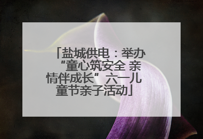 盐城供电：举办“童心筑安全 亲情伴成长”六一儿童节亲子活动