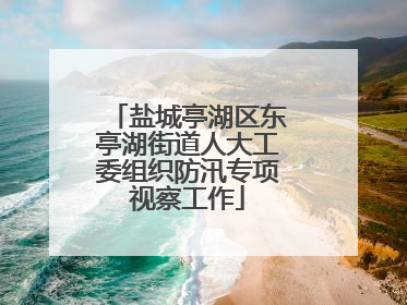 盐城亭湖区东亭湖街道人大工委组织防汛专项视察工作
