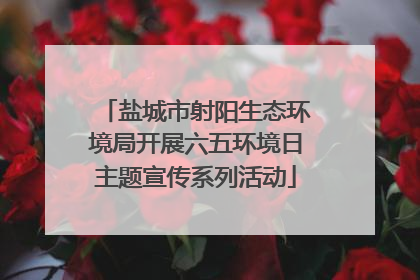 盐城市射阳生态环境局开展六五环境日主题宣传系列活动