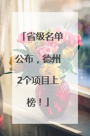 省级名单公布，德州2个项目上榜！