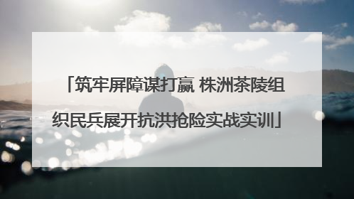 筑牢屏障谋打赢 株洲茶陵组织民兵展开抗洪抢险实战实训