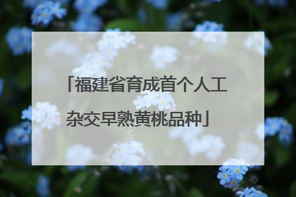 福建省育成首个人工杂交早熟黄桃品种