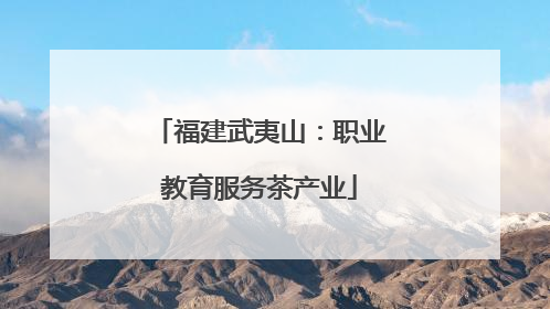 福建武夷山：职业教育服务茶产业