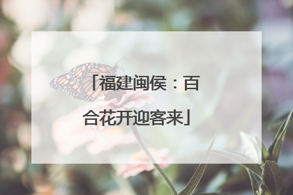 福建闽侯：百合花开迎客来